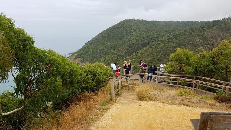 See the most beautiful attractions on the Great Ocean Road at a very affordable price.
Have a bit of a sleep-in and still enjoy a day sightseeing the Great Ocean Road in a small group.